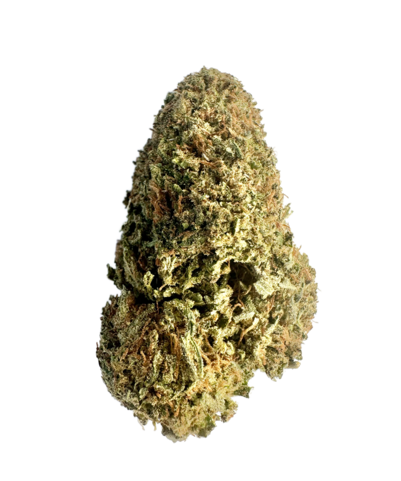 DR GRINSPOON (Boost 30%)