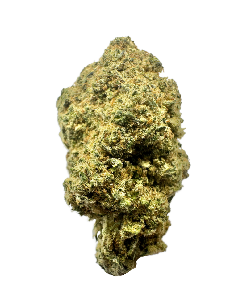 M.A.C (Miracle Alien Cookie)